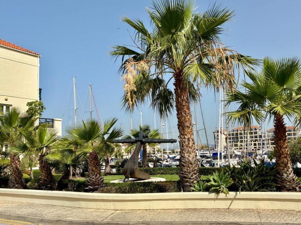 Palm-lined waterfront surroundings at Queensway Quay Marina in Gibraltar, a popular residential area for retirees seeking marina-side living.